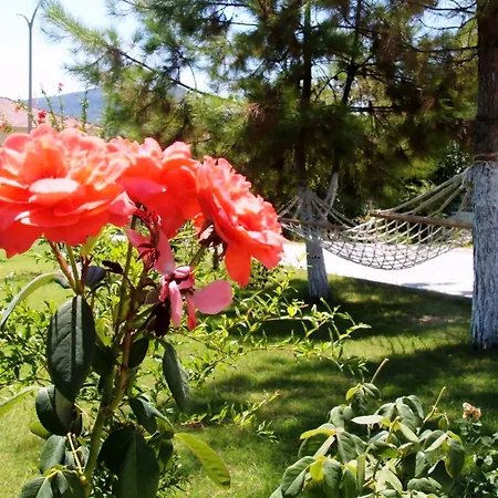 Apart-hotel Gurkan